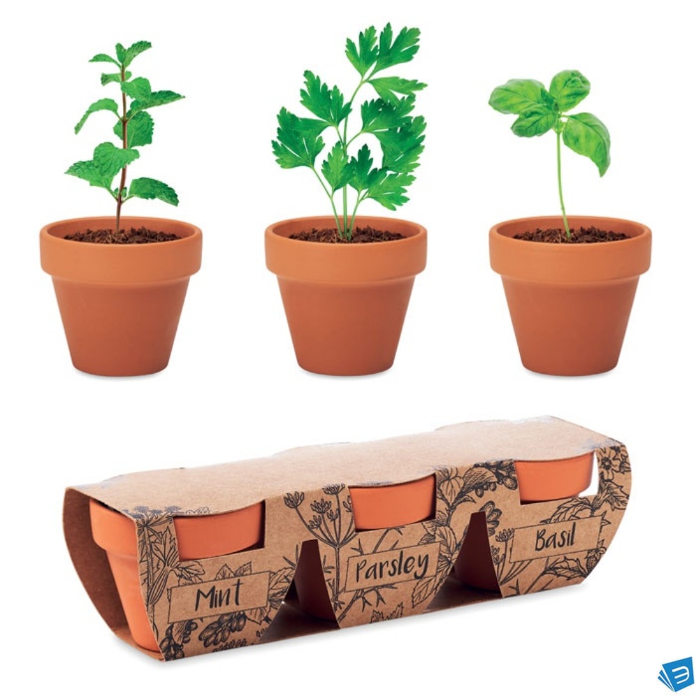 Set di erbe in terracotta