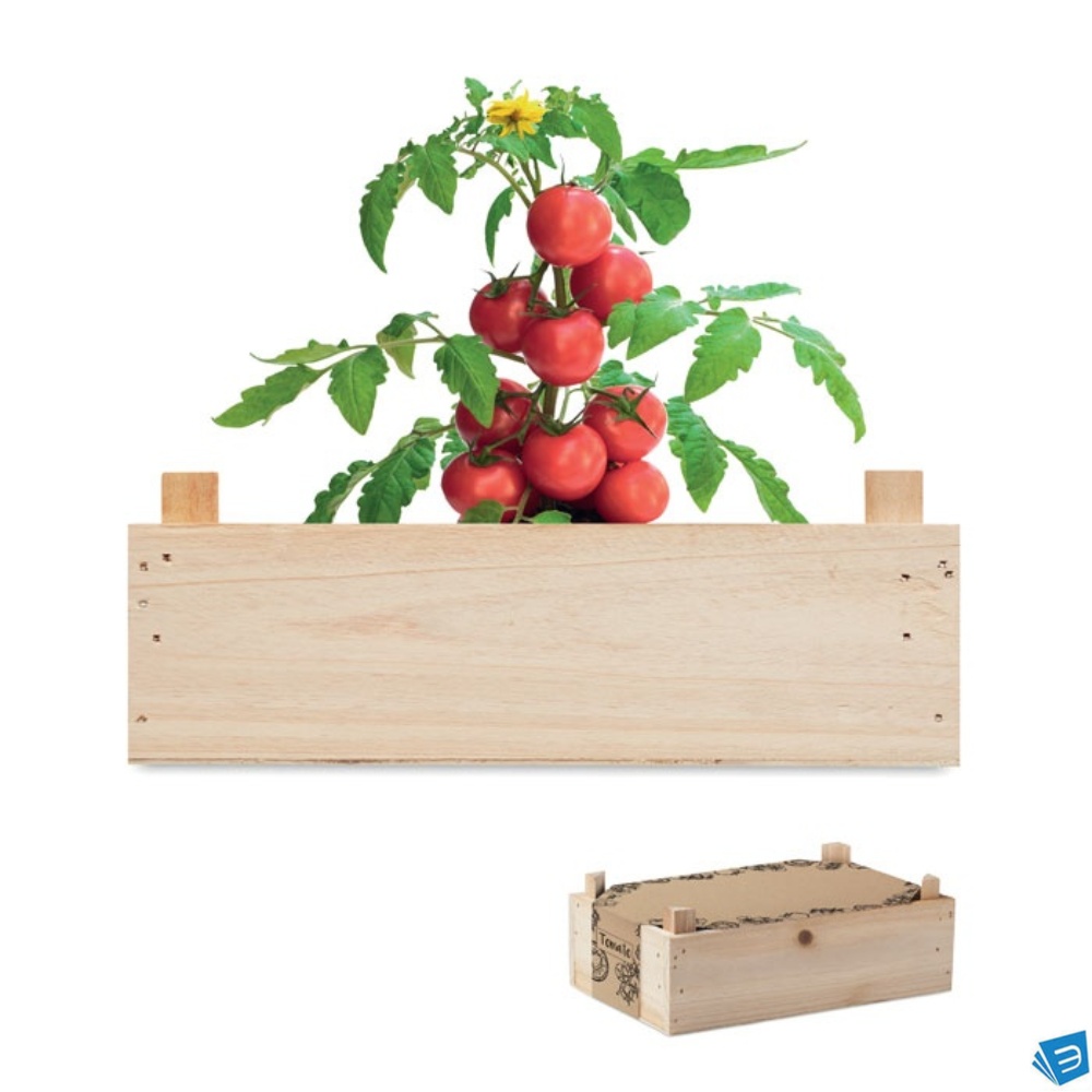 Kit di semi di pomodor