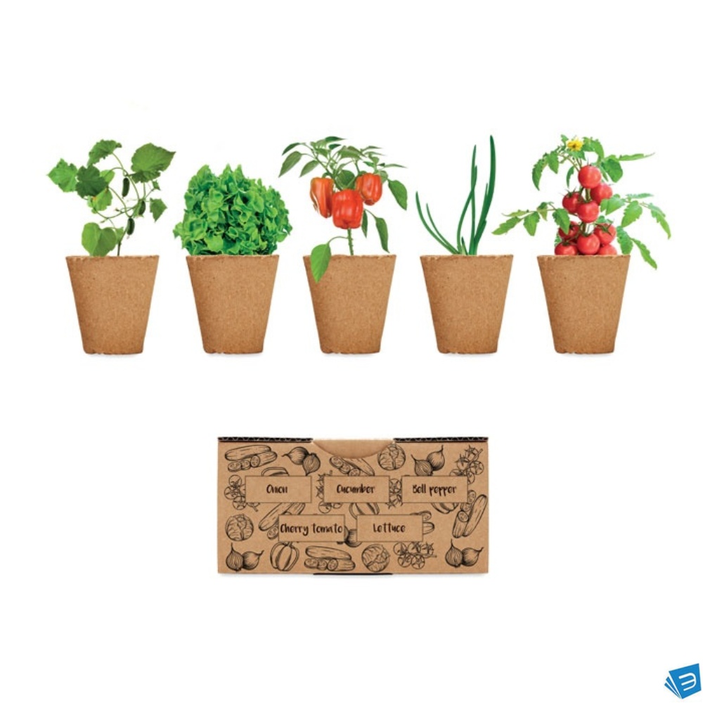 Kit per coltivare insalata