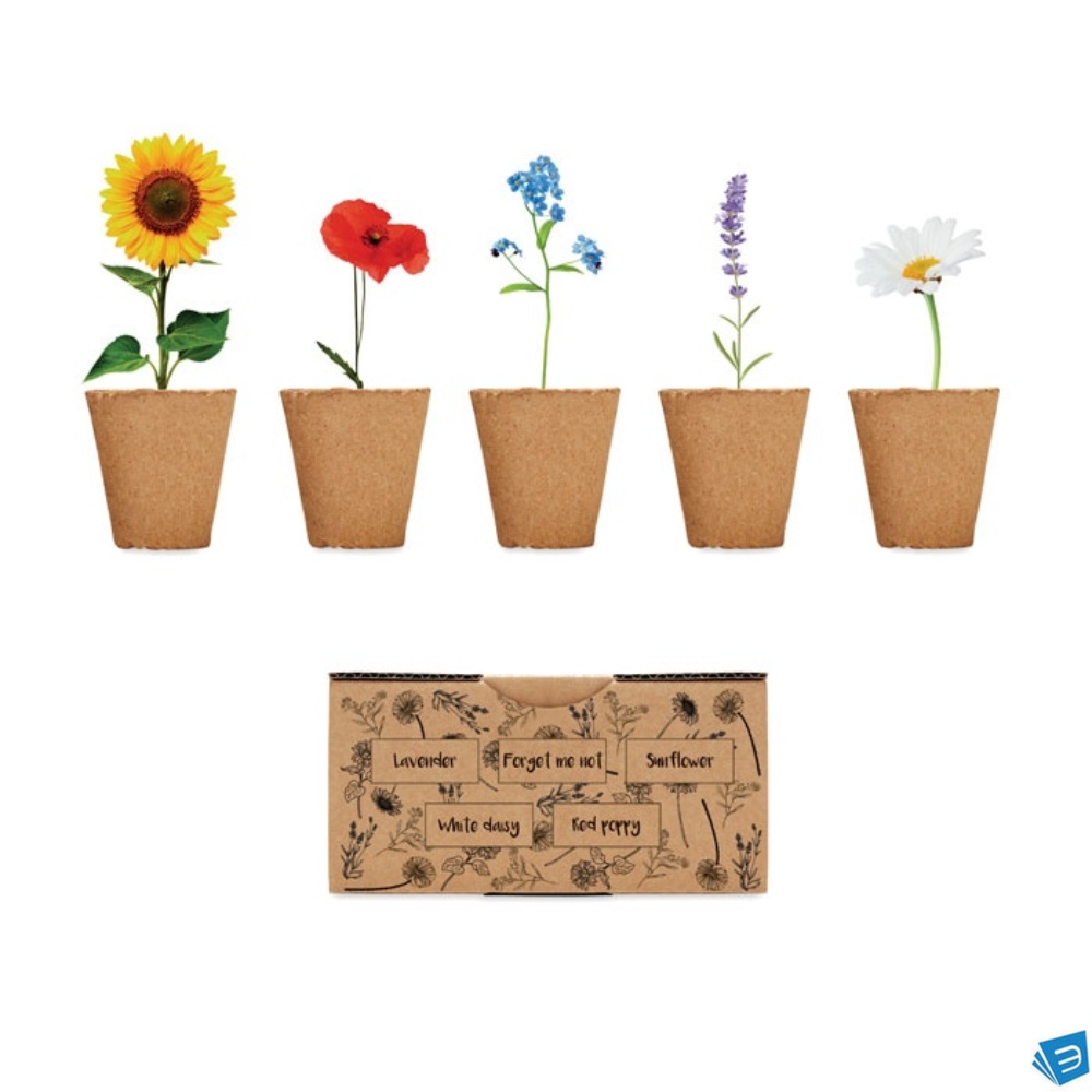 Kit per coltivare fiori