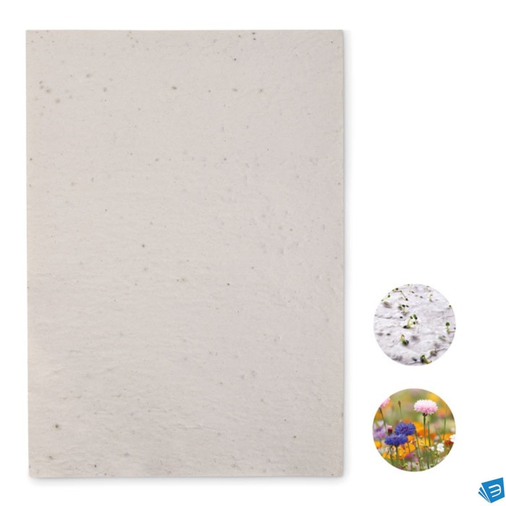 Foglio A4 in carta con semi