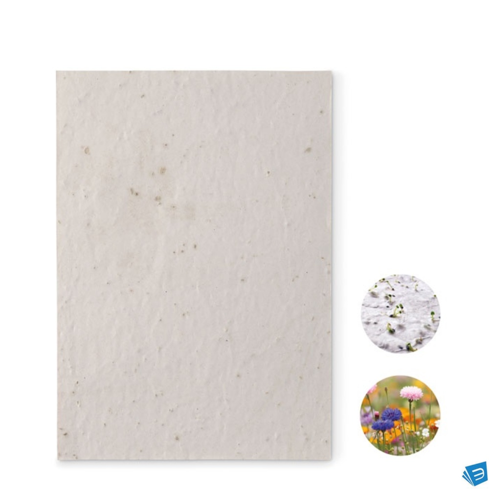 Foglio A5 in carta con semi