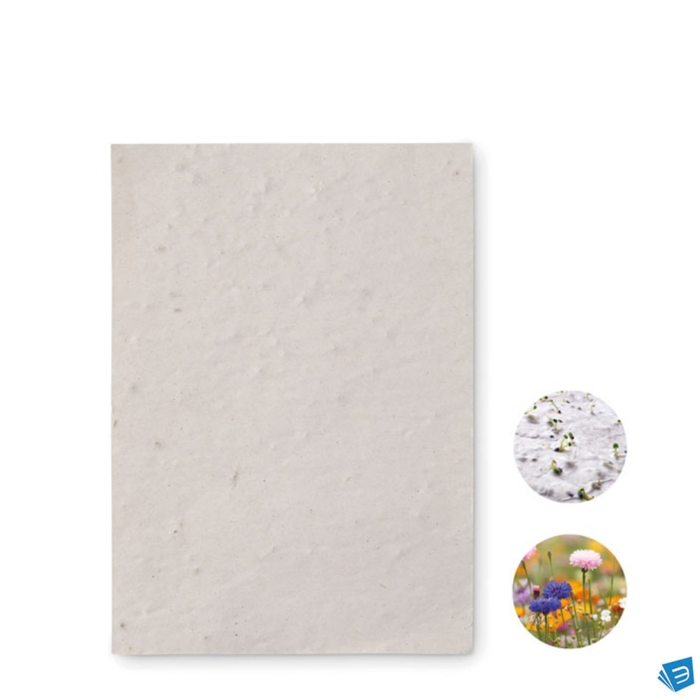 Foglio A6 in carta con semi
