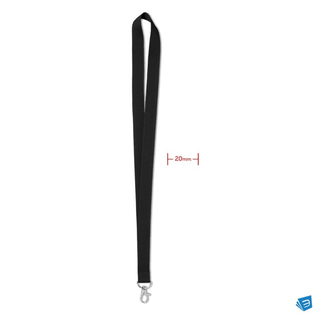 Lanyard