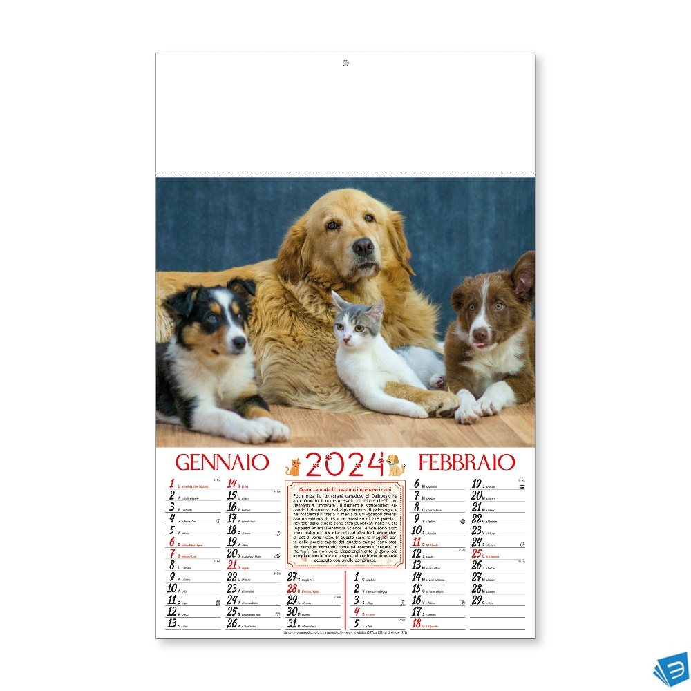 Calendario 2024 da muro mensile, illustrato a 6 foglisu carta patinata, termosaldato